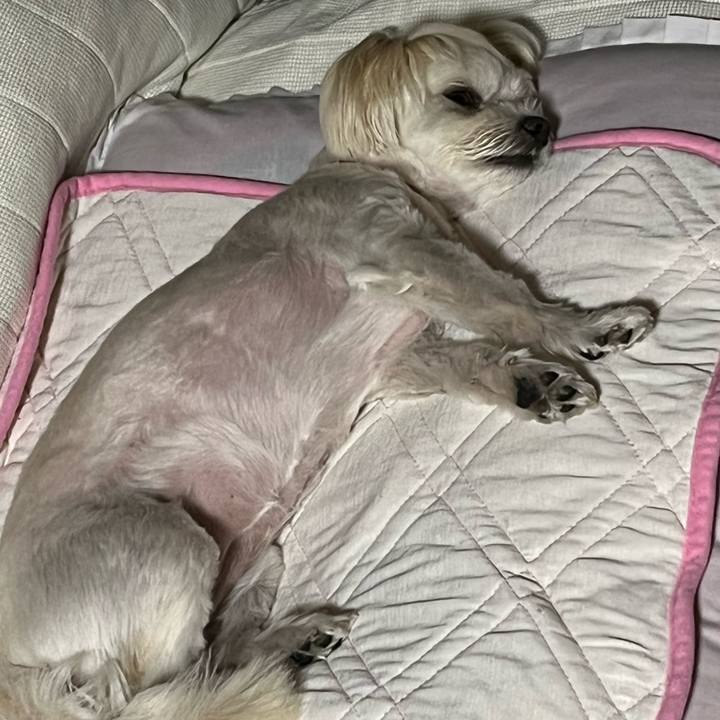 7fa953da 2410 4db8 b51f f5868299ecc5 1662810665058