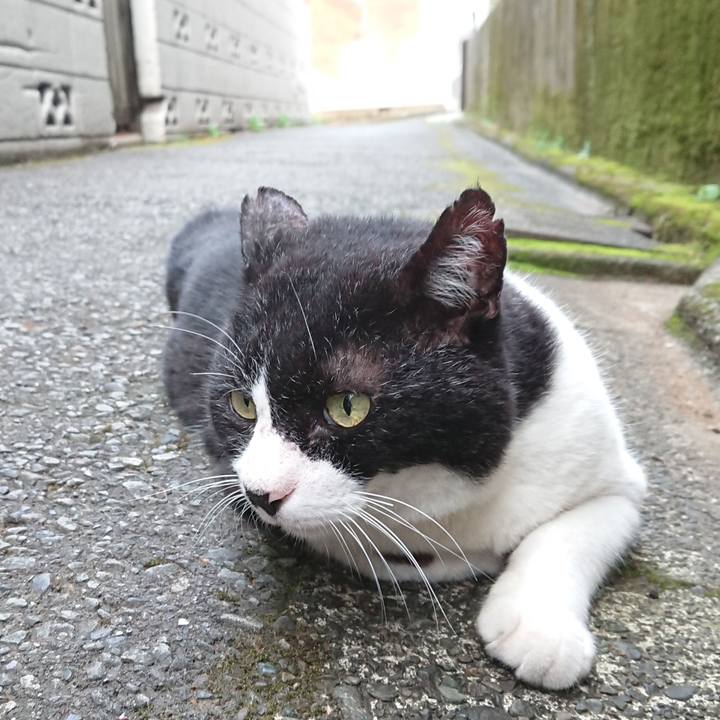 7fa9885e 7ab9 4ee5 b1cc 330b3a8a3463 1660003522760