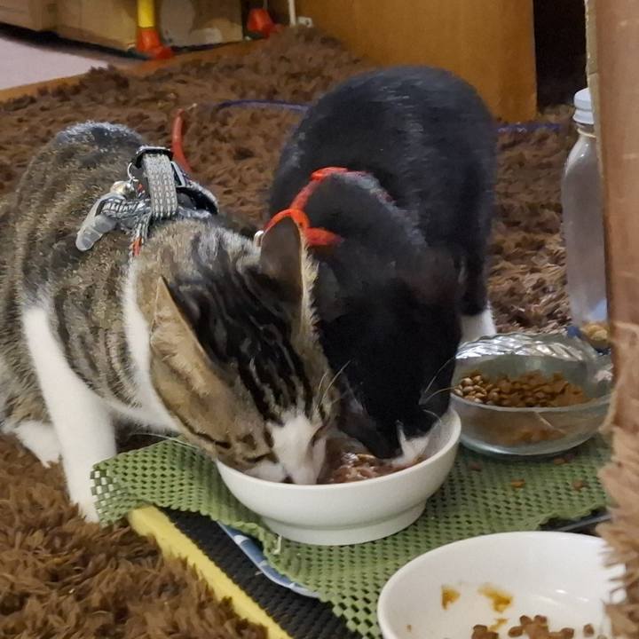 7fa9b10e aabb 485c 8b13 87696aeea0ec 1750771897401