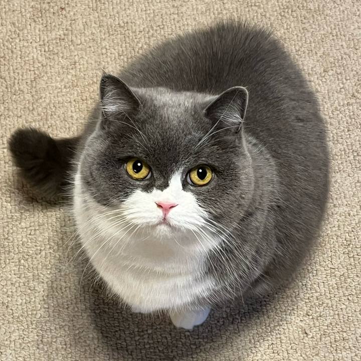 7faa1e91 1993 45c9 b21d bcd8c33737e1 1706097204560