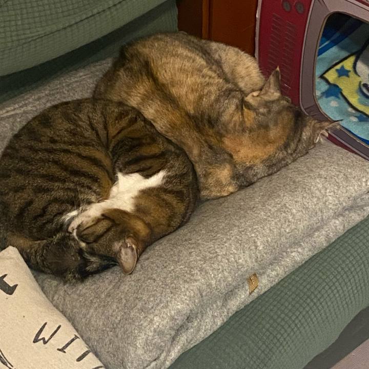 7faa5099 f056 4478 9b67 4e9c9dcc1c6e 1676320201234