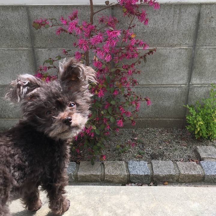 7faa6f87 1798 4b5a ac3f 0f56a5b2ca86 1523316196918