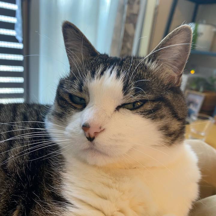 7faaab03 04df 4723 83ec f162cb0057fa 1649400575066