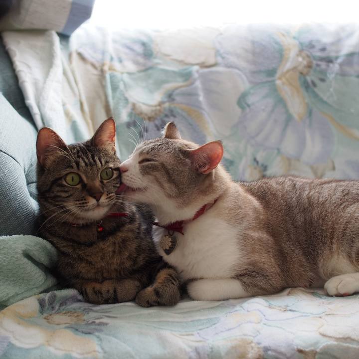 7faadb09 c5e7 496d bb89 dd640c41abc0 1567136425767