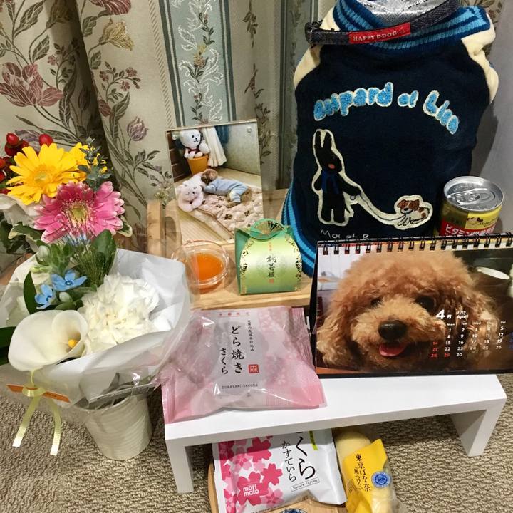 7faadbe8 3ec5 4ec6 bfd8 54bd4c28bfdf 1554213603030