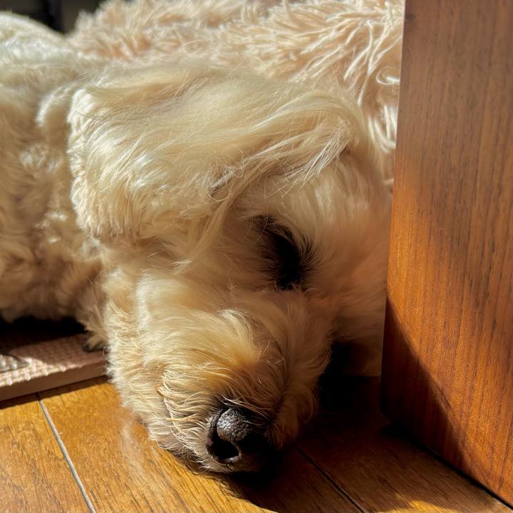 7faadfb5 da2d 4a39 a451 877424fdcb53 1774085478676