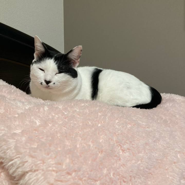 7faae361 f662 4f5c a725 6c163cb59b31 1761225282905