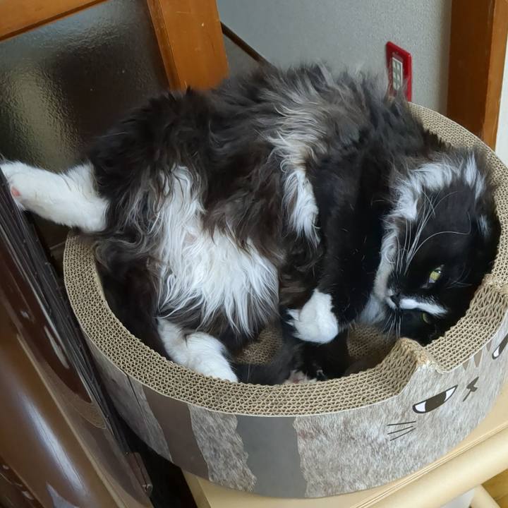 7faaf3bd dd3d 478f b135 13d46fc4f31d 1685272949818