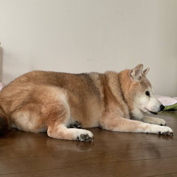 7fab05ff f8fd 4e4a 8d26 9087772b6d67 1661522017108