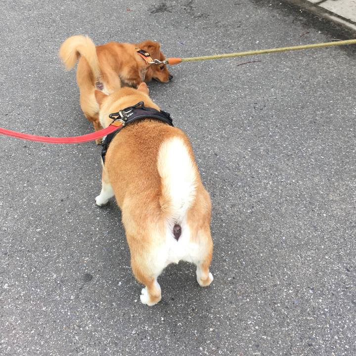 7fab3cb1 5a60 48f3 949c 35c872247bc3 1622162624013