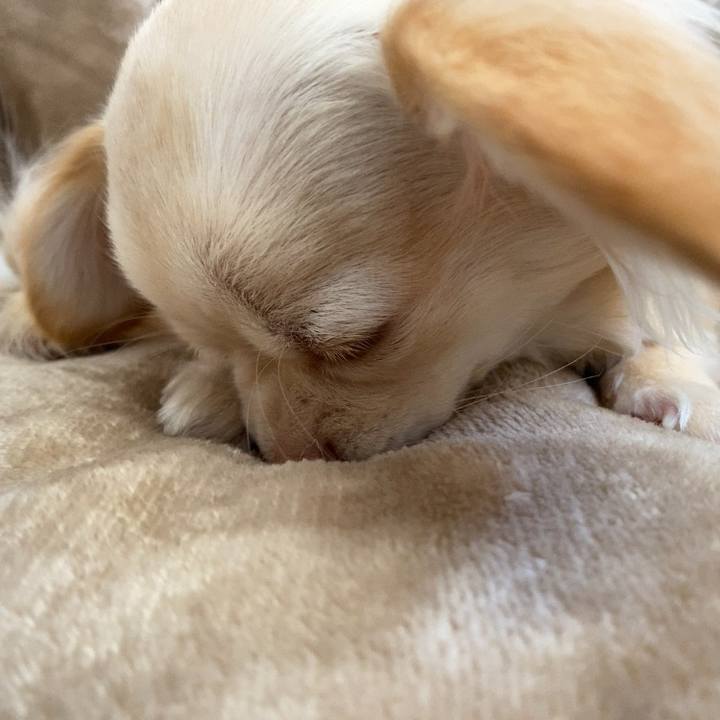 7fab891c eb05 4a33 b1cc 6da39e13bab8 1611043654959