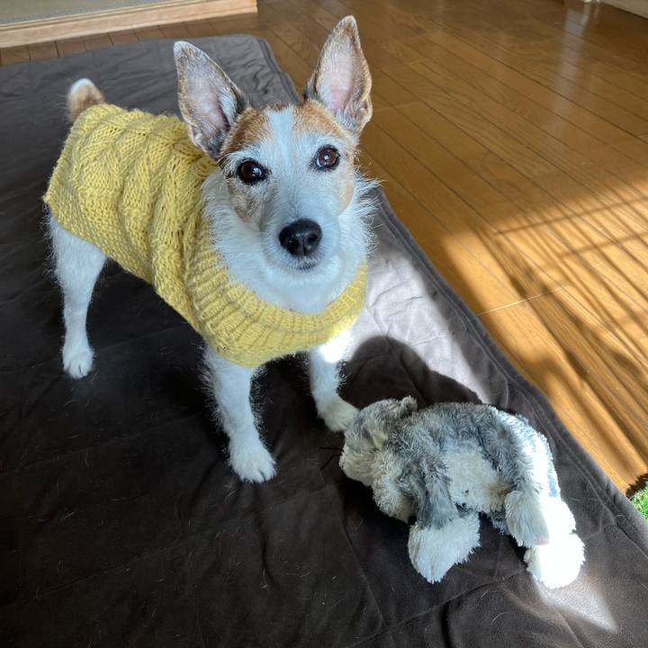 7fab9b33 a4a8 44a1 a7b5 5844875dd44d 1673230509299