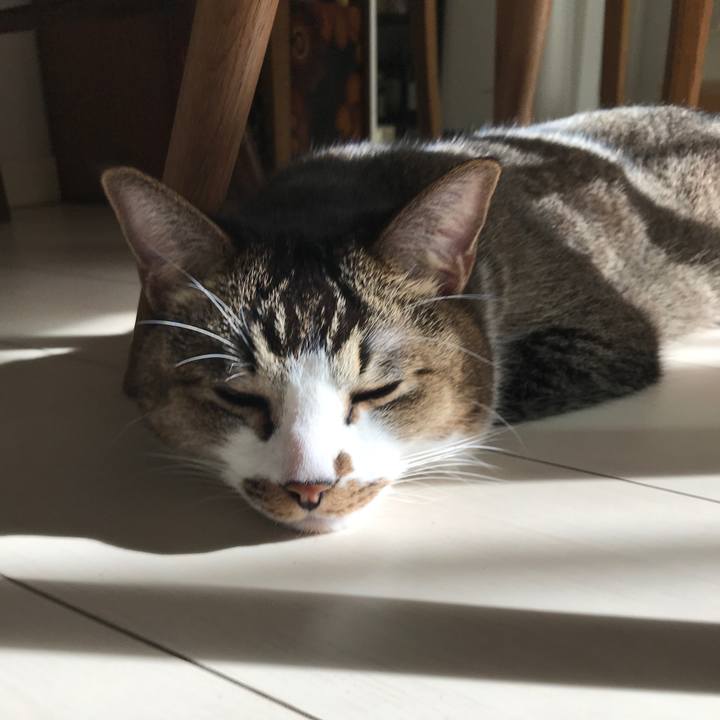 7fac0d4c 527b 43d1 8f6f c1f9a7258130 1611211102506