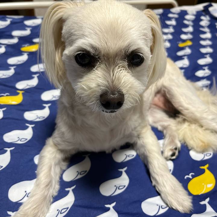 7fac4437 9832 45a3 bbc8 7367f84ccf61 1684242614705