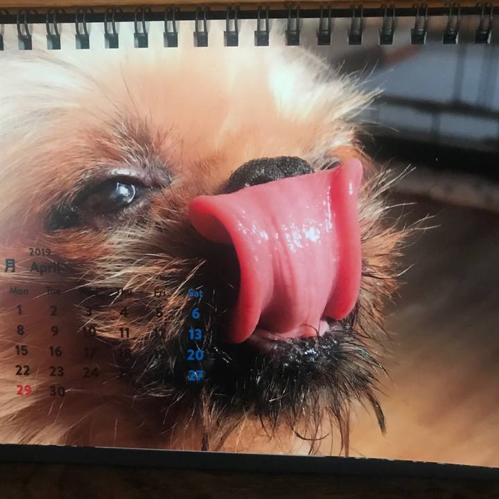 7fac4489 8b37 4d51 bbe4 cc5e752f6339 1554083767356