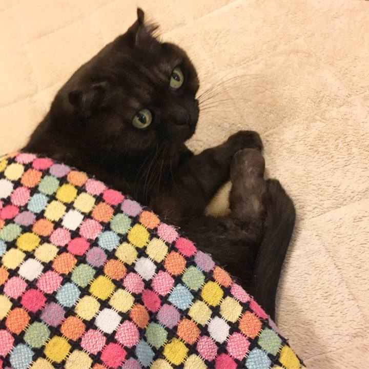 7fac54a7 25b5 451e 97c4 31c8a9267172 1520690103466