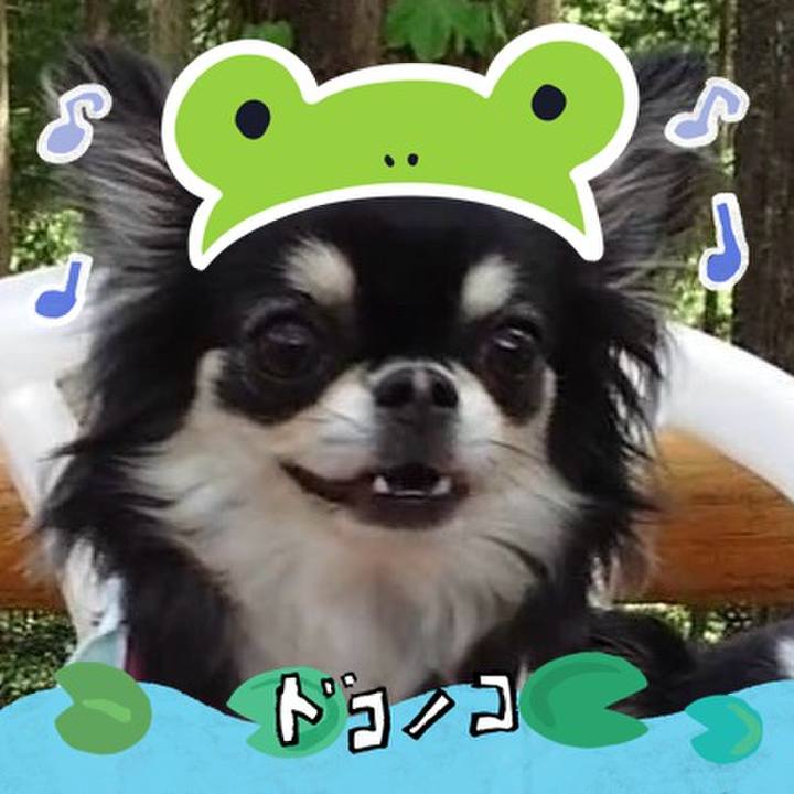 7fac65e4 a312 4623 8613 201a230c65e3 1717651409021