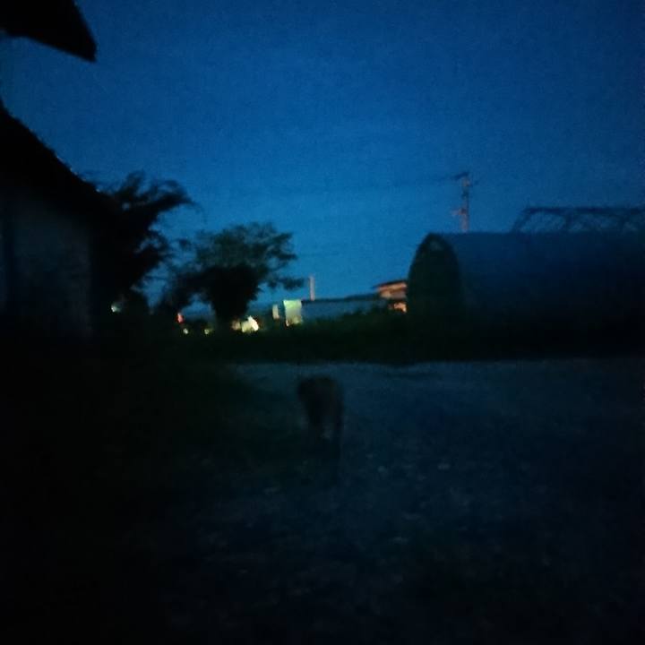 7facc457 f3be 4be3 9e83 61ff912c791a 1600334762300