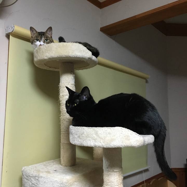 7faccb64 f53c 4c0a ad25 fbb3fa413b9d 1530893309529