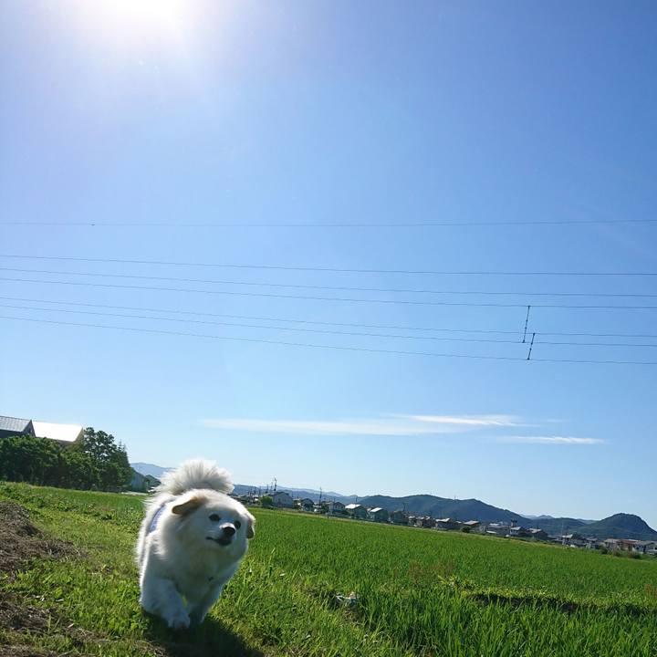 7facd1b1 c68b 4099 9e50 d960e1f3ee96 1529623259180