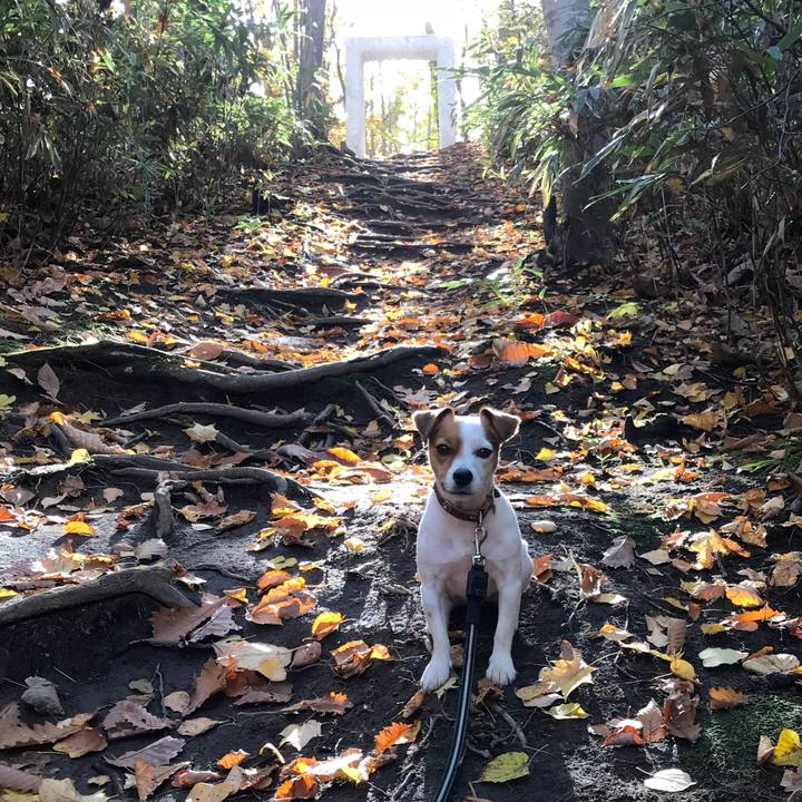 7facd58f 1395 49e3 a0c3 2a18684e6460 1508573818181