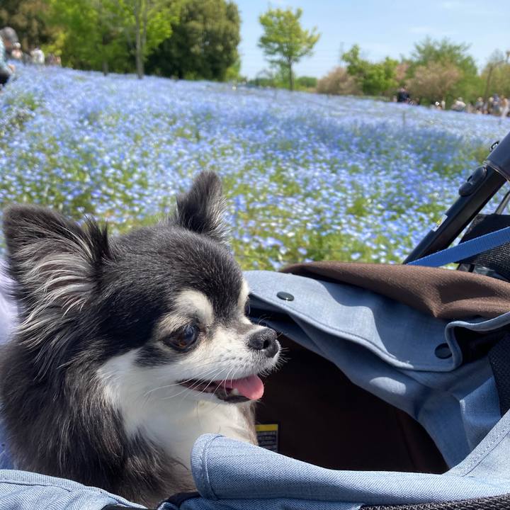 7fad07cb b89f 4c53 affa d203d75b13e0 1776407944930