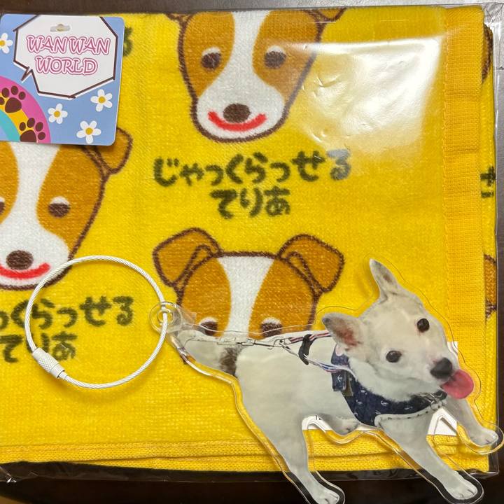 7fad1d41 e555 400c 80dd 873e1cb1b662 1761044409386