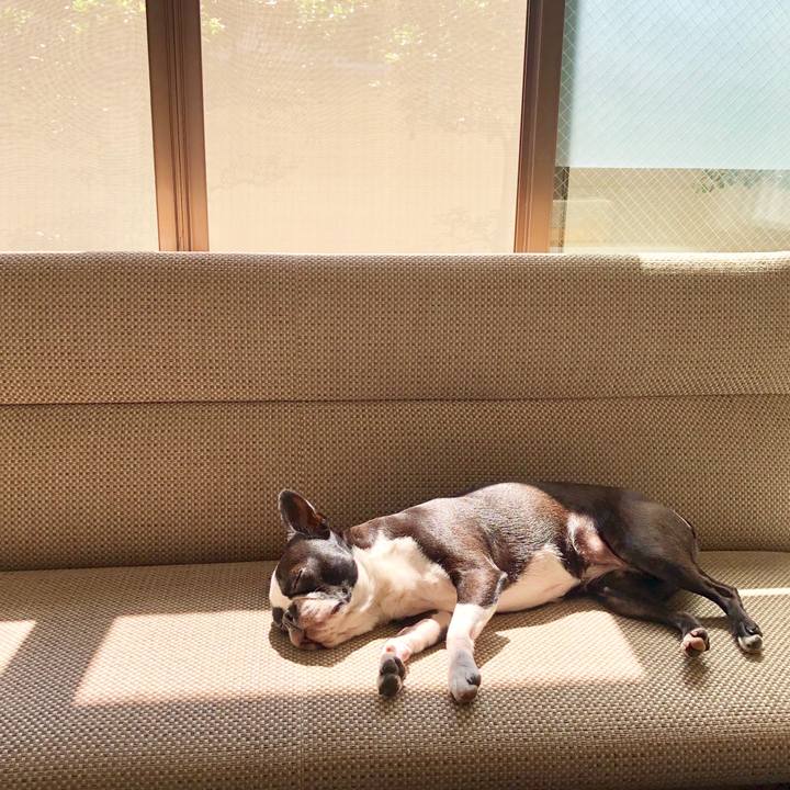 7fad26d7 c4da 449c 91d2 b7ad654f638a 1561335511924