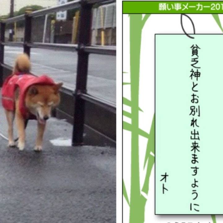 7fad3c80 f8f3 43e1 93db 0f7421b705f9 1530962202597