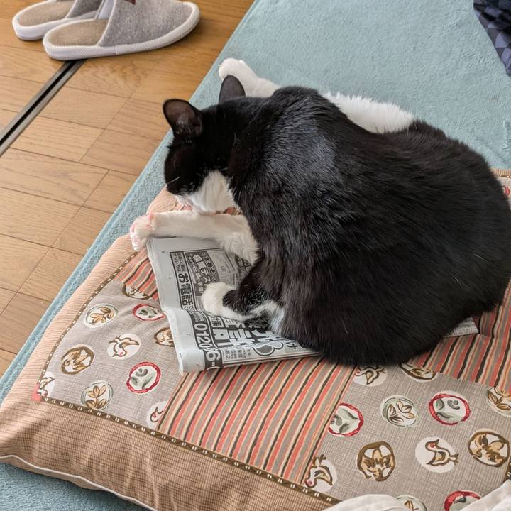 7fad3d33 a5fa 4b8b 843d 2ca0dd90e2f5 1770260125353