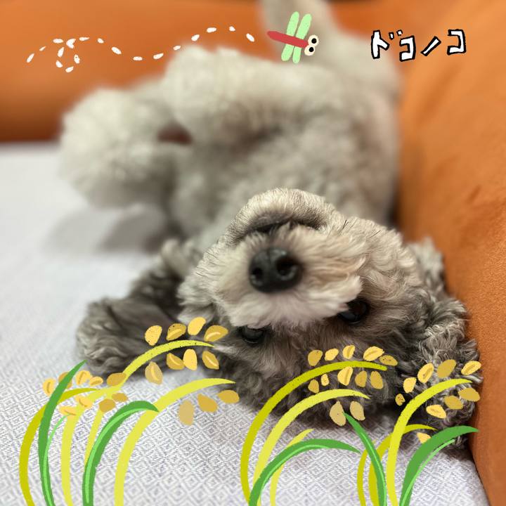 7fad8aed 1284 4b88 95ad bd610f46d863 1761442539159