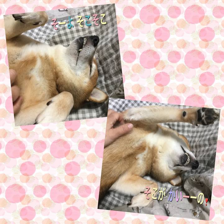 7fad91ed f699 4a78 a408 46c0ea6f1a9b 1605344420940