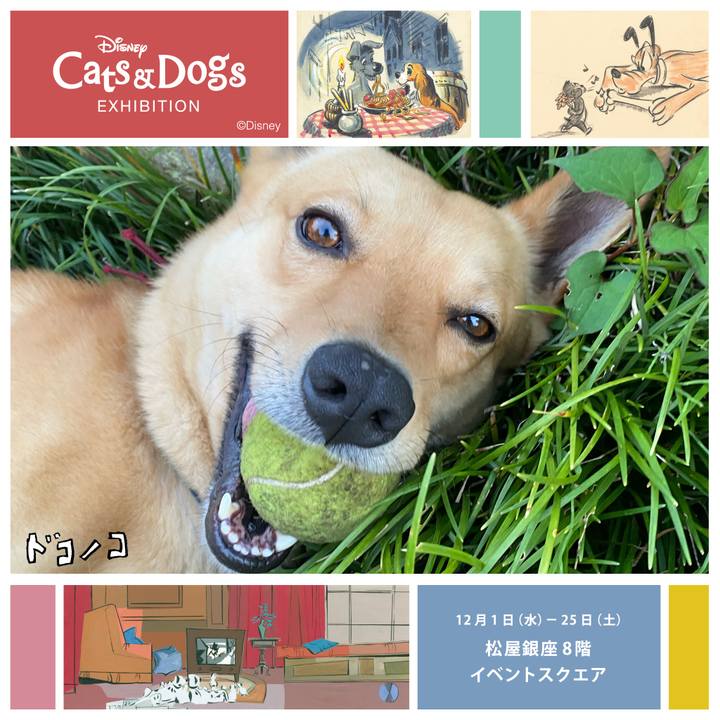 7fad9b7c 82e8 43fe ae44 2fb694b63aac 1638794372215