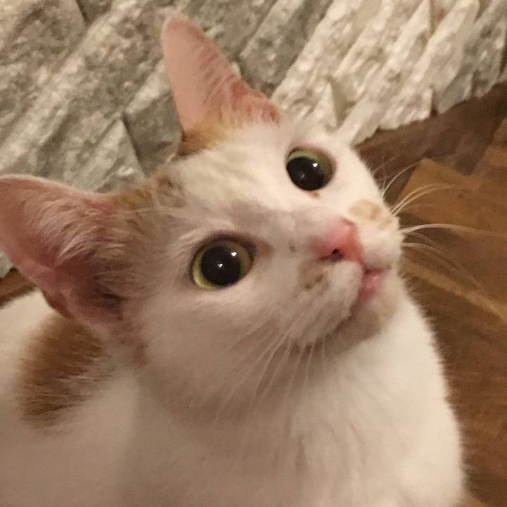 7fad9bff 2cd3 4883 8c69 9392540dcc67 1565529185506