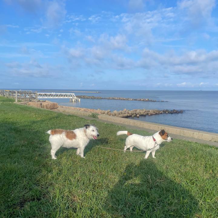 7fadb9c8 24ad 475c 88e4 75d994926b91 1757374010528