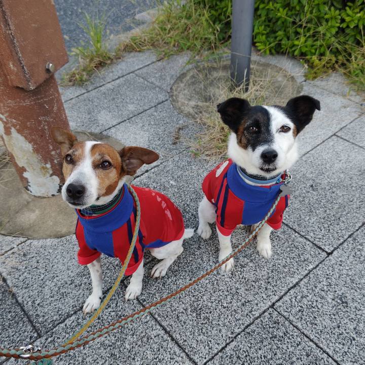 7fadf160 489e 4252 b5b3 5d50a1f03723 1728858004716