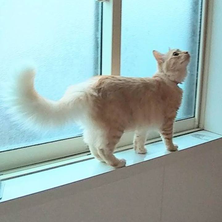 7fadfbdb 367d 48ea bbeb 424d4beb8286 1617314113604