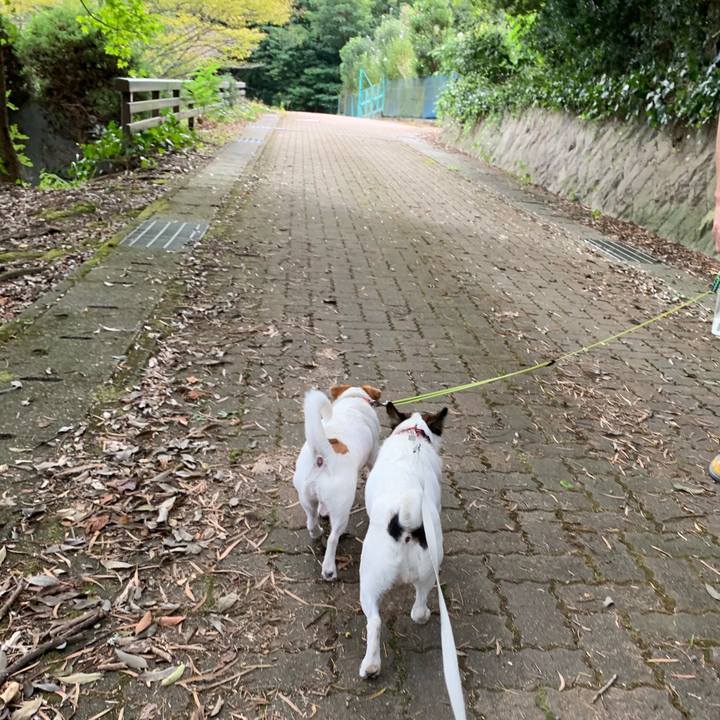 7fae45c4 14da 409e bfa9 a6798680eb4e 1569722238078