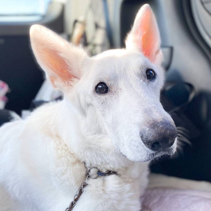 7fae8a94 30d9 4c46 8115 eb6898821098 1604099211356