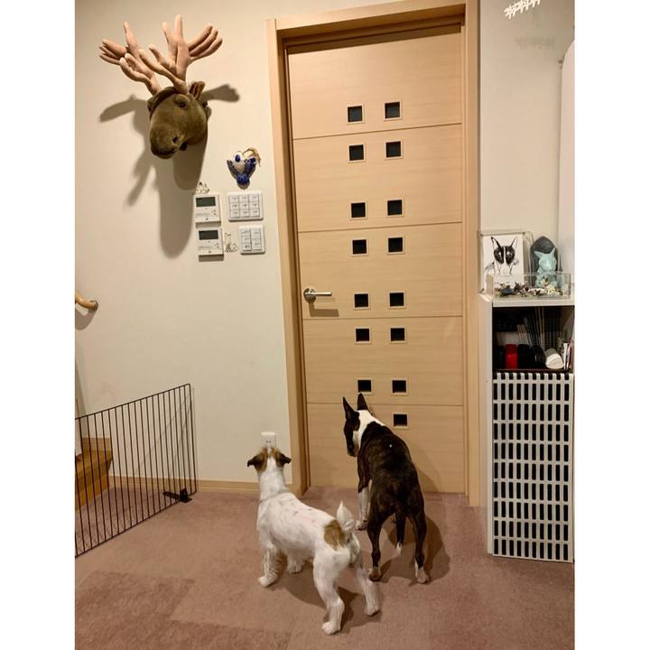 7faeef6e 09e6 489b 8b23 bf5be58991c1 1614685584063