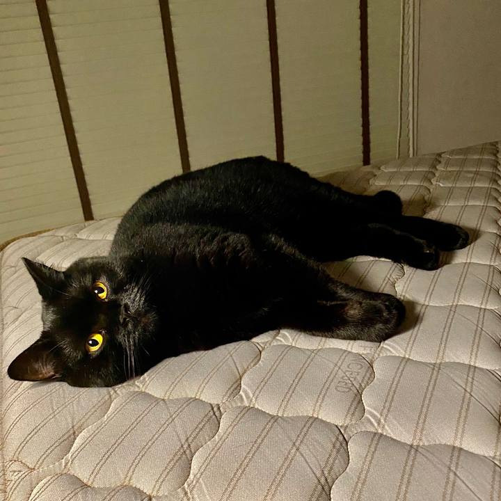 7faf0ac8 c508 49fc 8d3f e33c53b4da70 1601038603327