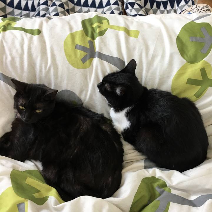 7faf7e9c 26da 4907 bdbf 76c5cc1dc8db 1526823945072