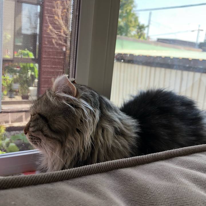 7fafb050 0ac0 408f bd30 fb2426eabb45 1526015350627