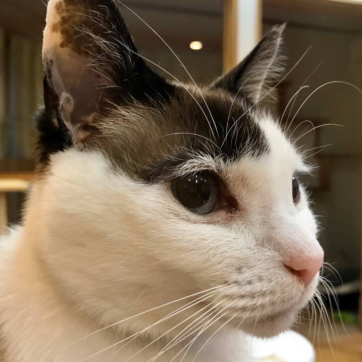 7fb018d9 2f87 4227 9040 d919a4937ff5 1615621731541