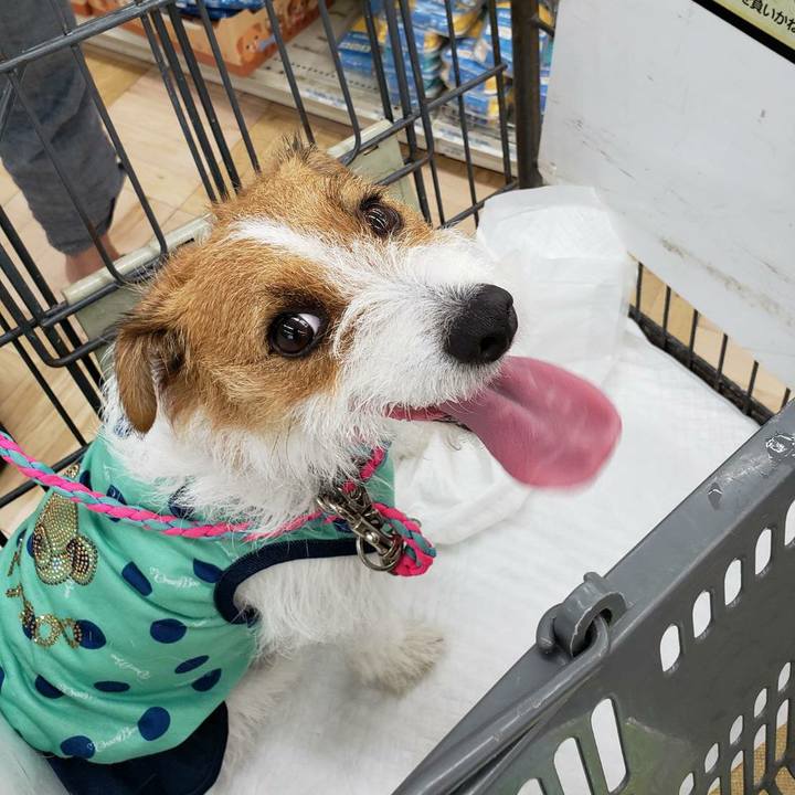 7fb09534 172d 44c9 997b 93a7e56b351a 1567231603153