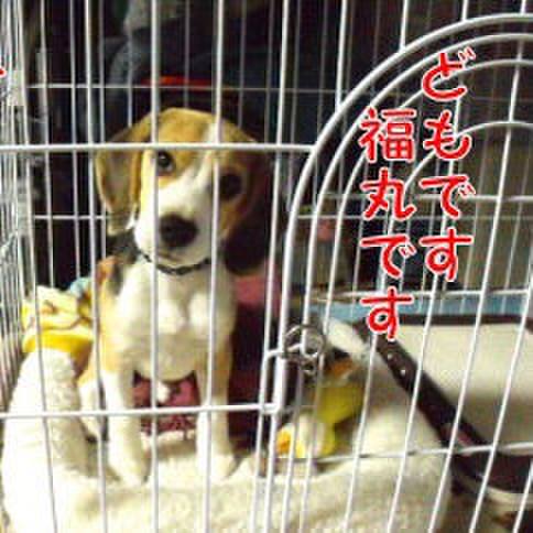 7fb0a3f5 ae40 4d49 9579 a707fa855a86 1676852605470