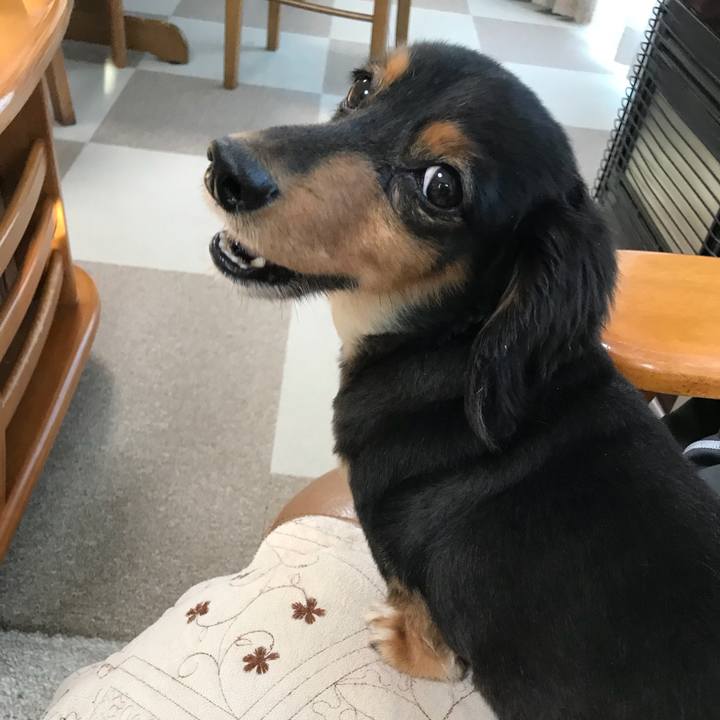 7fb0b096 6f56 47da a4b9 a810c9642c16 1508796024015