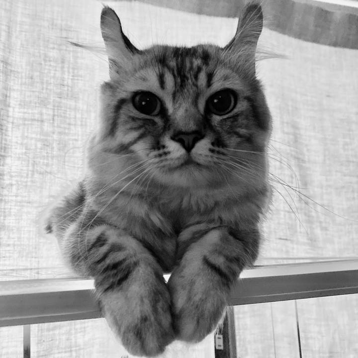 7fb0badf e5a8 4523 8826 4bb395a38896 1724296820339