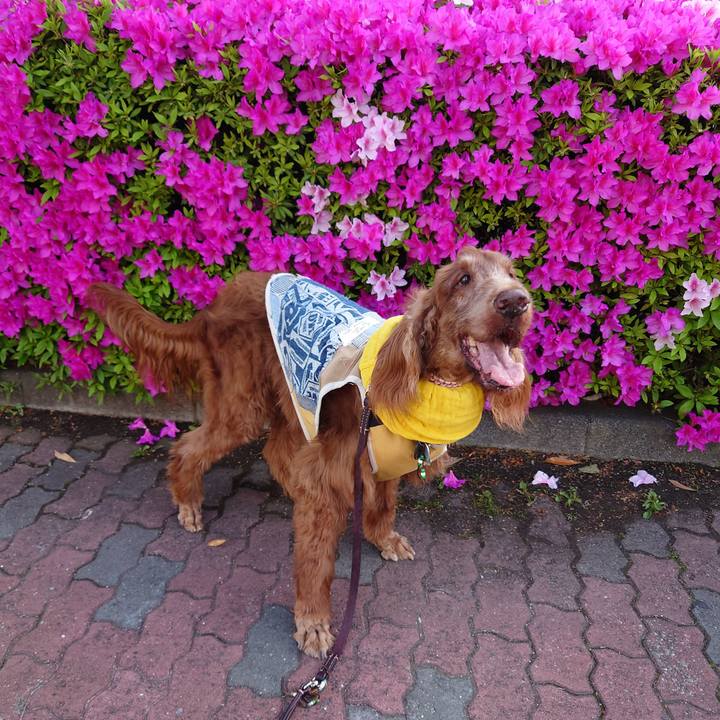 7fb1014a 2e9d 485d ab3a a98f12eab94c 1651321088462