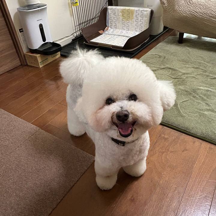 7fb151a2 8b21 4da9 b791 914f09827ec7 1771565022716